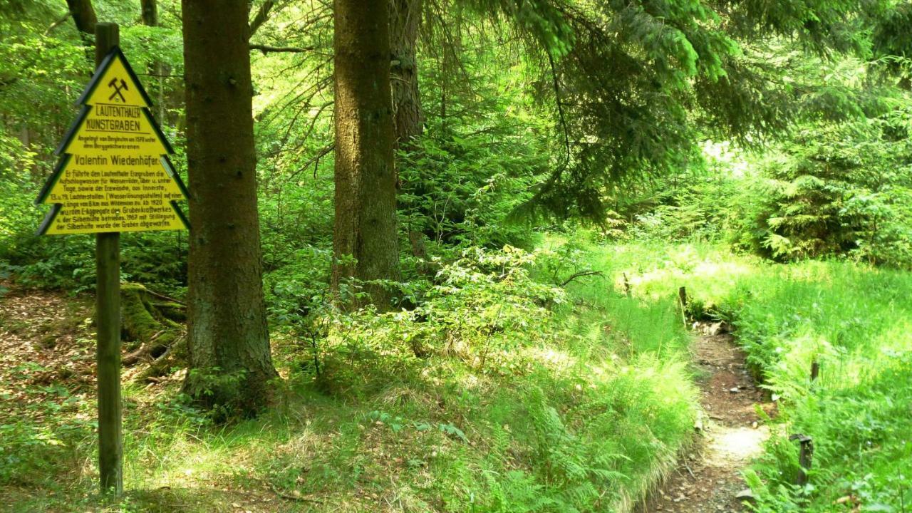 Ferienwohnung Harzblick Lautenthal エクステリア 写真