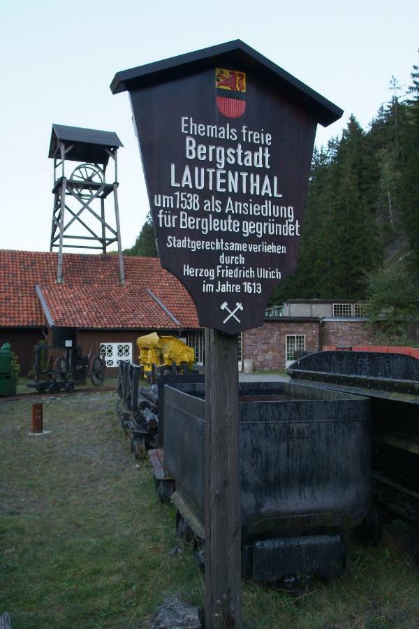 Ferienwohnung Harzblick Lautenthal エクステリア 写真
